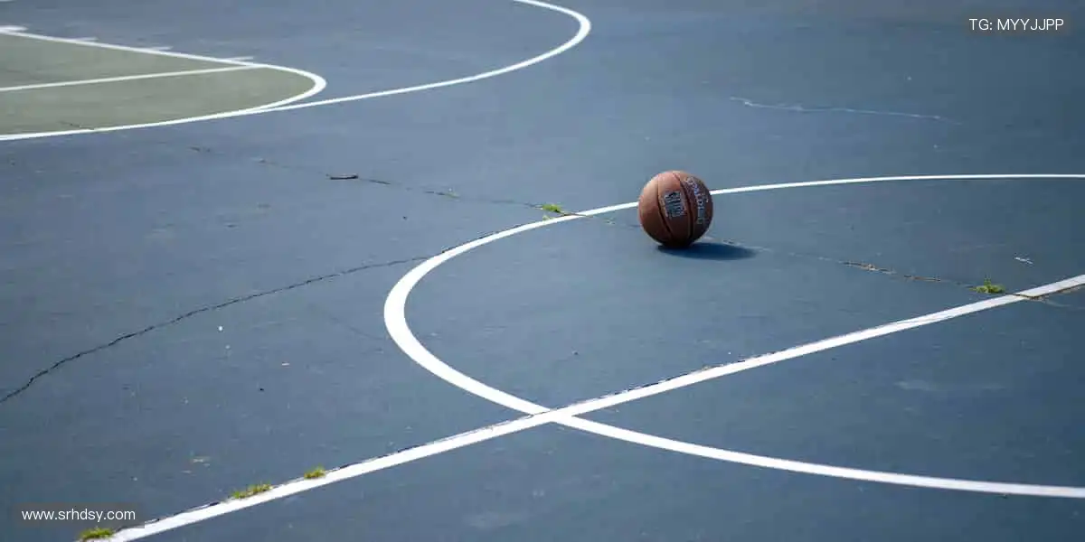 数据与激情同频，专业共欢乐一色！📊🎉 用科技解锁体育新视角！